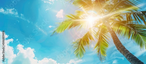 A sunny blue sky with a palm tree in the background, perfect for a summer theme.
