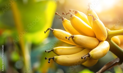 banana tree with ripe fruits, Generative AI