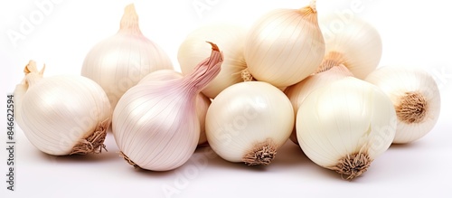 White background with shallots and pearl onion for the copy space image.