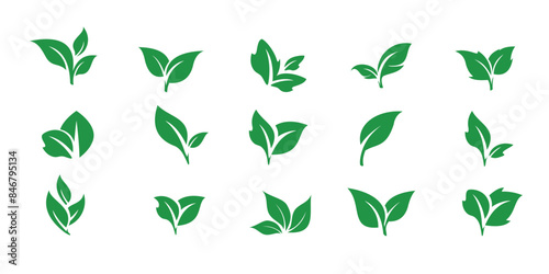 Green leaves flat bio organic eco leaf icon set of collection 