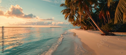 Tropical Paradise at Sunset: White Sand Beach, Palm Trees, and Clear Water