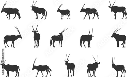 Oryx silhouettes, Oryx svg, Horned animal silhouettes, Horned oryx svg, Oryx gazella svg, Oryx vector set.