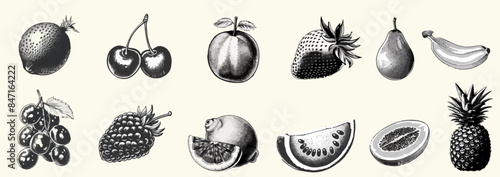 Set summer fruits with retro photocopy stipple effect, for grunge punk y2k collage design. Vector illustration in vintage halftone brutalist design for banner or poster 