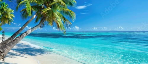 Stunning beach scene featuring palm trees and crystal-clear turquoise water