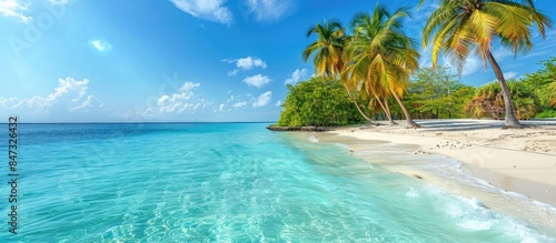 Stunning beach scene featuring palm trees and crystal-clear turquoise water
