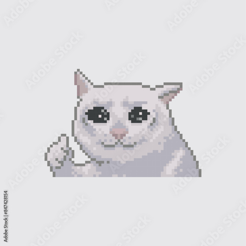 White cat with thumb up, pixel art meme 