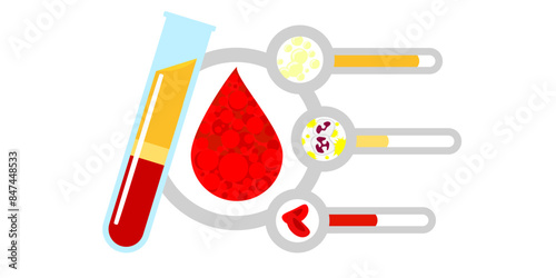 testing by separating blood components such as red blood cells, white blood cells, platelets and blood water by showing the volume in the form of test tubes and graphs - white background(Vector style)