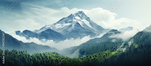 Beautiful green mountain with the fog in the morning. Creative banner. Copyspace image