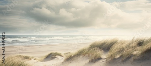 dunes with the north sea in the background. Creative banner. Copyspace image