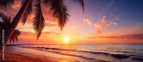 At sunset time on the tropical paradise island beach and sea with coconut palm tree for holiday and vacation. Creative banner. Copyspace image