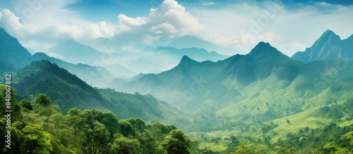 landscape green mountains layers tropical zone. Creative banner. Copyspace image
