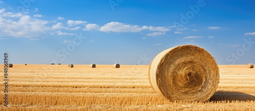 A straw bales in the horizon on harvested field. Creative banner. Copyspace image