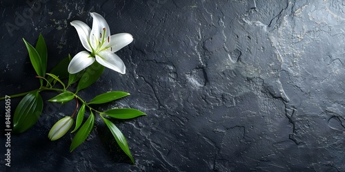 Dark stone background with lily flower space for condolence message. Concept Condolence Message, Lily Flower, Stone Background, Sympathy Greeting, Mourning Space