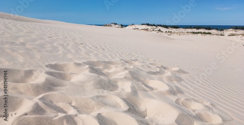 Leba sand desert in Poland with sea horizon, panorama