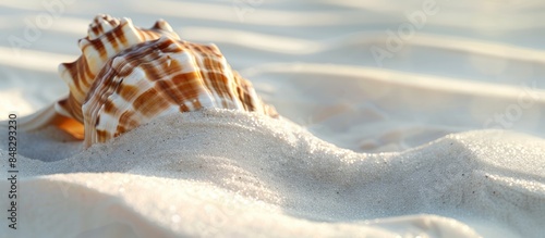 A stunning seashell resting on pristine white sand, surrounded by ample empty space. Captured in macro with a remarkably shallow depth of field.