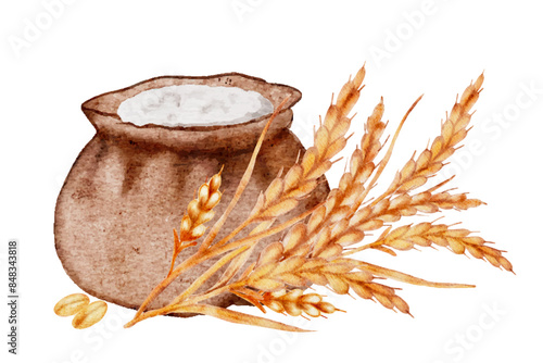 Bag of wheat flour, grains and bunch of spikes, vector watercolor cut out from background