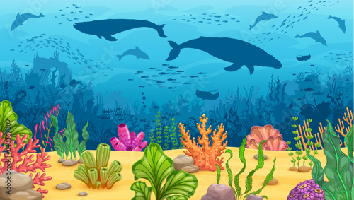 Underwater game landscape with whale silhouettes, corals and algae seaweeds, manta, dolphins, fish shoal shadows. Vector background with colorful ocean bottom, sea vegetation and animals biodiversity