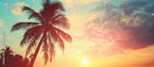 Palm tree silhouette at sunset with a touch of a vintage filter