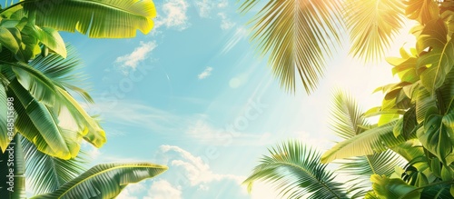 Paradise Vacation: Sunny Day with Palm Trees Against Blue Sky - Ideal Summer Nature Setting with Copy Space. Tropical Landscape featuring Mexican Fan, Fig, and Banana Leaves