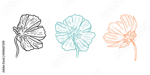 Wild rose flowers and berries, medicinal herb line art drawing. Outline vector illustration isolated on white background. Rose hip bouquets sketch for logo, tattoo, wedding design. look for behind.
