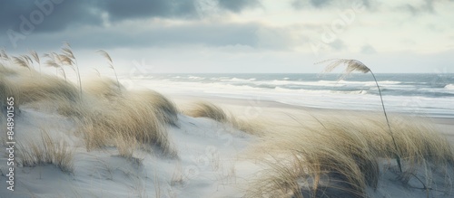 Copy space image of a wintry scene on the Baltic Sea coast featuring sand dunes marram grass and a stormy sea