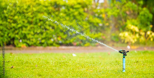 Sprinkler for automatic lawn watering. Lawn cultivation and care, garden irrigation devices. Rainbow over the garden on a sunny day.