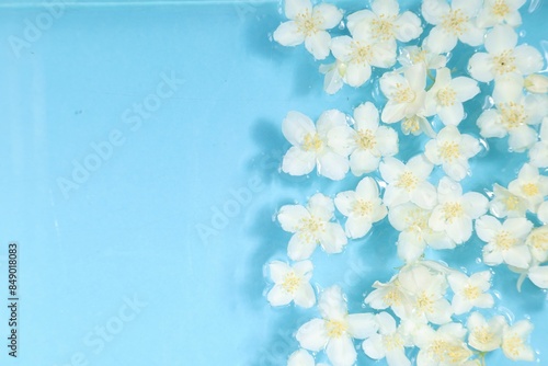 Beautiful jasmine flowers in water on light blue background, top view. Space for text