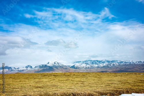 Ganjia Secret Realm, Gannan Tibetan Autonomous Prefecture, Gansu Province - grassland under the snow-capped mountains