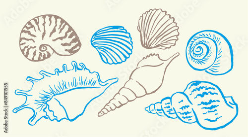 Shells , colorful seashells , shellfish, conch , mollusks , starfish , marine illustration, vector illustration , stickers, decorations, ocean , scallops, doodle