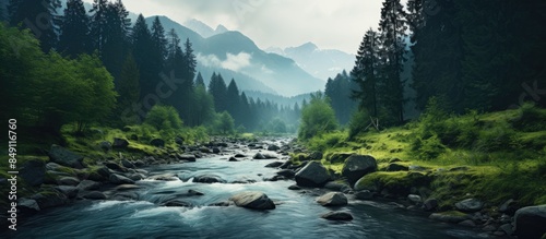 river flowing between green mountains through the forest. Creative banner. Copyspace image