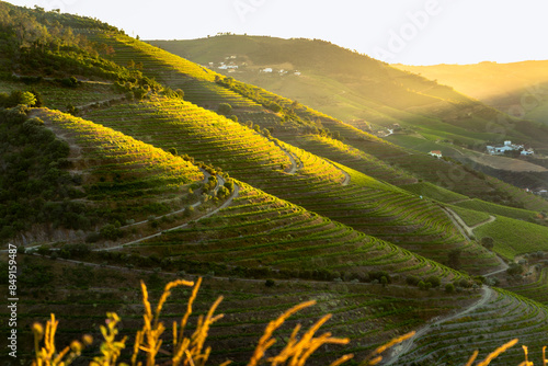 Sunset over ancient terraced vineyards in the romantic Douro Valley near the village of Pinhão, a World Heritage Site