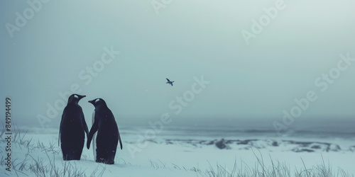 A serene scene featuring two penguins looking at each other on a snowy beach with a bird flying in the distant sky