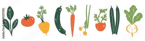 Vector illustration of colorful vegetables including tomato, carrot, pepper, zucchini, greens, and radish in a flat style.