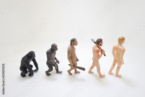 a Human evolution ape, caveman, modern man, future man