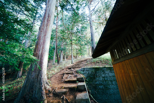 河口浅間神社の山道