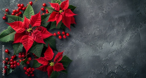 Festive Red Poinsettia and Holly Arrangement on Black Background