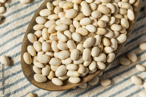 White Organic Raw Navy Beans