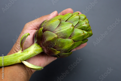 Purple artichoke on dark background.