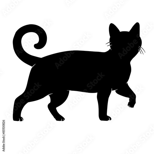 Cat walking silhouette vector illustration