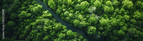 Aerial view of lush green forest with winding river creating a serene and tranquil natural landscape.