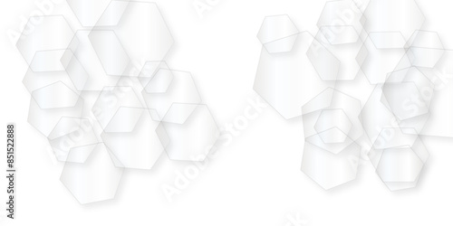 Abstract trendy technology of gradient white and gray hexagonal element pattern artwork design background. Luxury white pattern with hexagons. abstract 3d hexagonal background with shadow. 