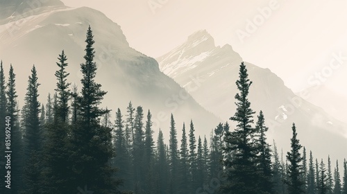 Misty landscape with fir forest vintage retro style with soft beige colors, pine trees