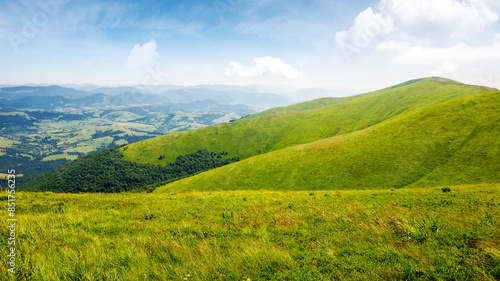 carpathian mountain landscape of ukraine in summer. natural scenery of alpine grassy hills and meadows on a sunny day. mnt. magura zhyde in the distance. popular travel destination of transcarpathia