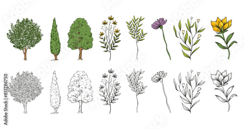 Ensemble d'arbres, fleurs, plantes, branches -Illustration au trait, contour noir et couleurs - Style fait-main, à main levée - Éléments vectoriels éditables - Végétal, feuilles, troncs - Nature