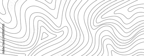 abstract wavy background. topographic contour background. contour lines background. Topographic map contour background.
