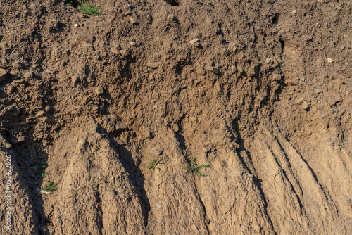 Palisades Park, Santa Monica, Los Angeles, California geology. Marine Terraces and Eroded Cliffs, alluvial fan deposits of consolidated silt, sand and gravel. 