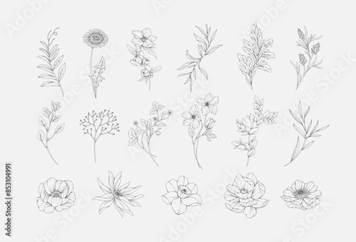 Botanic set of detailed various flowers and brunch. Luxury vintage floral collection for wedding invitation, wallpaper art or save the date card. Botanical vector illustration