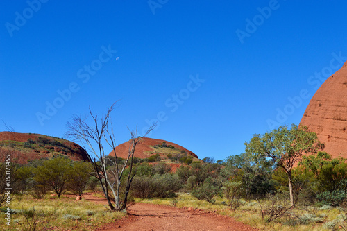 A view of the Olgas (Kata Tjuta) in the Red Center of Australia. 