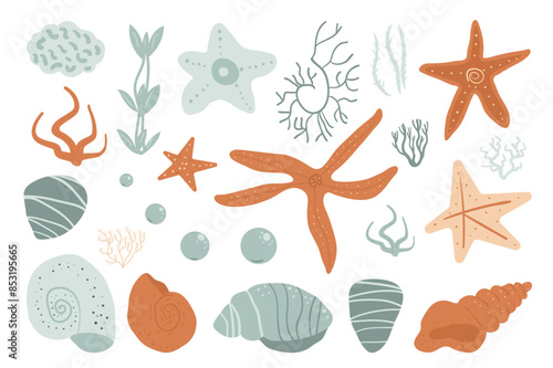 Collection of stylized starfish, coral, seaweed, and seashells in soft, muted tones, ideal for serene oceanic designs. Vector hand drawn flat set illustration.