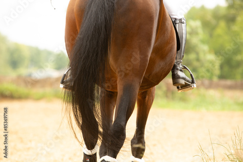 a rider's leg in boots, a man on a horse